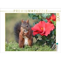 CALVENDO Puzzle Dunkelpuschel mit großer Hibiskusblüte 1000 Teile Lege-Größe 64x48cm Foto-Puzzle für glückliche Stunden von Calvendo Puzzle
