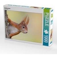 CALVENDO Puzzle Eichhörnchen 1000 Teile Lege-Größe 64 x 48 cm Foto-Puzzle Bild von Wilfried Martin von Calvendo Puzzle