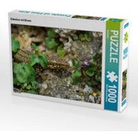 CALVENDO Puzzle Eidechse mit Blume 1000 Teile Lege-Größe 64 x 48 cm Foto-Puzzle Bild von Kattobello CALVENDO Puzzle Eidechse mit Blume 1000 Teile Lege-Größe 64 x 48 cm Foto-Puzzle Bild von Kattobello von Calvendo Puzzle