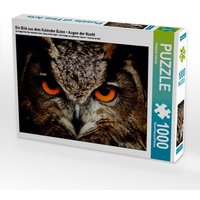 CALVENDO Puzzle Ein Bild aus dem Kalender Eulen - Augen der Nacht 1000 Teile Lege-Größe 64x48cm Foto-Puzzle für glückliche Stunden von Calvendo Puzzle