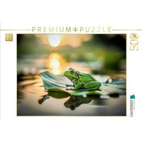 CALVENDO Puzzle Ein Frosch ruht sich aus auf einem Seerosenblatt. 500 Teile Lege-Größe 48 × 36 cm Foto-Puzzle für glückliche Stunden CALVENDO Puzzle Ein Frosch ruht sich aus auf einem Seerosenblatt. 500 Teile Lege-Größe 48 × 36 cm Foto-Puzzle für glückliche Stunden von Calvendo Puzzle
