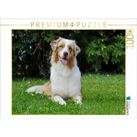 CALVENDO Puzzle Ein Motiv aus dem Kalender Bekannt wie ein bunter Hund. Australian Shepherd - Familienplaner hoch 1000 Teile Lege-Größe 64x48cm Foto von Calvendo Puzzle