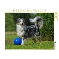 CALVENDO Puzzle Ein Motiv aus dem Kalender Bekannt wie ein bunter Hund. Australian Shepherd - Familienplaner hoch 1000 Teile Lege-Größe 64x48cm Foto von Calvendo Puzzle
