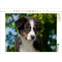 CALVENDO Puzzle Ein Motiv aus dem Kalender Bekannt wie ein bunter Hund. Australian Shepherd - Familienplaner hoch 1000 Teile Lege-Größe 64x48cm Foto von Calvendo Puzzle