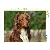 CALVENDO Puzzle Ein Motiv aus dem Kalender Bekannt wie ein bunter Hund. Australian Shepherd - Familienplaner hoch 1000 Teile Lege-Größe 64x48cm Foto von Calvendo Puzzle