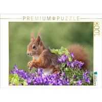 CALVENDO Puzzle Ein Motiv aus dem Kalender Besondere Augenblicke mit Eichhörnchen 1000 Teile Lege-Größe 64x48cm Foto-Puzzle für glückliche Stunden CALVENDO Puzzle Ein Motiv aus dem Kalender Besondere Augenblicke mit Eichhörnchen 1000 Teile Lege-Größe 64x48cm Foto-Puzzle für glückliche Stunden von Calvendo Puzzle