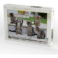 CALVENDO Puzzle Ein Motiv aus dem Kalender Die Streuner von La Marsa 1000 Teile Lege-Größe 64x48cm Foto-Puzzle für glückliche Stunden CALVENDO Puzzle Ein Motiv aus dem Kalender Die Streuner von La Marsa 1000 Teile Lege-Größe 64x48cm Foto-Puzzle für glückliche Stunden von Calvendo Puzzle