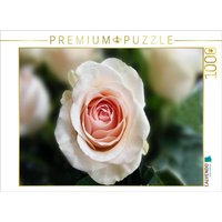 CALVENDO Puzzle Ein Motiv aus dem Kalender Erkenntnis und Weisheit - Hildegard von Bingen 1000 Teile Lege-Größe 64x48cm Foto-Puzzle für glückliche S von Calvendo Puzzle