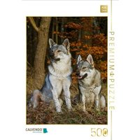 CALVENDO Puzzle Ein Motiv aus dem Kalender Faszination Wolfhund 500 Teile Lege-Größe 48 × 36 cm Foto-Puzzle für Erwachsene von Calvendo Puzzle