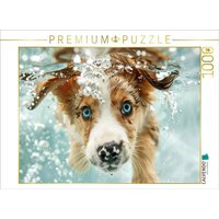 CALVENDO Puzzle Ein Motiv aus dem Kalender "Hunde und Wasser" 1000 Teile Lege-Größe 64x48cm Foto-Puzzle für glückliche Stunden von Calvendo Puzzle