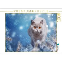CALVENDO Puzzle Ein Motiv aus dem Kalender Kittens - Britisch Kurzhaar Katzenkinder 1000 Teile Lege-Größe 64x48cm Foto-Puzzle für glückliche Stunden von CALVENDO Verlag GmbH