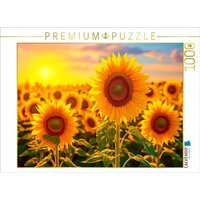 CALVENDO Puzzle Ein Motiv aus dem Kalender Meditation und innerer Frieden 1000 Teile Lege-Größe 64x48cm Foto-Puzzle für glückliche Stunden von Calvendo Puzzle