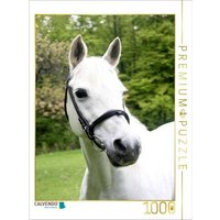 CALVENDO Puzzle Ein Motiv aus dem Kalender Pferde ... fliegen ohne Flügel 1000 Teile Lege-Größe 64x48cm Foto-Puzzle für glückliche Stunden von CALVENDO Verlag GmbH