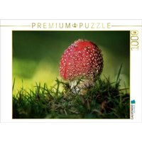 CALVENDO Puzzle Ein Motiv aus dem Kalender Pilze, die stillen Waldbewohner 2019 1000 Teile Lege-Größe 64x48cm Foto-Puzzle für glückliche Stunden von CALVENDO Verlag GmbH
