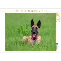 CALVENDO Puzzle Ein Motiv aus dem Kalender Traumhund Malinois 2000 Teile Lege-Größe 90x67cm Foto-Puzzle für glückliche Stunden von Calvendo Puzzle