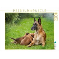 CALVENDO Puzzle Ein Motiv aus dem Kalender Traumhund Malinois 2000 Teile Lege-Größe 90x67cm Foto-Puzzle für glückliche Stunden CALVENDO Puzzle Ein Motiv aus dem Kalender Traumhund Malinois 2000 Teile Lege-Größe 90x67cm Foto-Puzzle für glückliche Stunden von Calvendo Puzzle