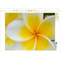 CALVENDO Puzzle Ein Motiv aus dem Kalender Tropischer Blütentraum 1000 Teile Lege-Größe 64 × 48 cm Foto-Puzzle für glückliche Stunden von Calvendo Puzzle