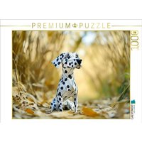 CALVENDO Puzzle Ein Motiv aus dem Kalender"Wenn Papier zum Leben erwacht" 1000 Teile Lege-Größe 64x48cm Foto-Puzzle für glückliche Stunden CALVENDO Puzzle Ein Motiv aus dem Kalender"Wenn Papier zum Leben erwacht" 1000 Teile Lege-Größe 64x48cm Foto-Puzzle für glückliche Stunden von Calvendo Puzzle