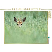 CALVENDO Puzzle Ein Motiv aus dem Kalender Wildlife Impressionen 1000 Teile Lege-Größe 64x48cm Foto-Puzzle für glückliche Stunden von CALVENDO Verlag GmbH