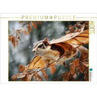 CALVENDO Puzzle Ein Motiv aus dem Kalender "Windreisende" 1000 Teile Lege-Größe 64x48cm Foto-Puzzle für glückliche Stunden von Calvendo Puzzle
