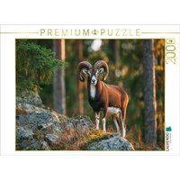 CALVENDO Puzzle Ein stolzes Mufflon steht auf einem Felsen im Wald und wird vom warmen Licht der Abendsonne beleuchtet, Tierpuzzle 2000 Teile Lege-Größe 90x67cm Foto-Puzzle für glückliche Stunden von Calvendo Puzzle