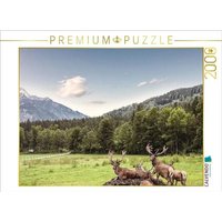 CALVENDO Puzzle Eine Herde Rotwild weiden in der schönen Natur in den Bergen von Hinterstoder 2000 Teile Lege-Größe 90 × 67 cm Foto-Puzzle für glückliche Stunden CALVENDO Puzzle Eine Herde Rotwild weiden in der schönen Natur in den Bergen von Hinterstoder 2000 Teile Lege-Größe 90 × 67 cm Foto-Puzzle für glückliche Stunden von Calvendo Puzzle
