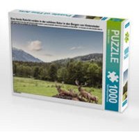 CALVENDO Puzzle Eine Herde Rotwild weiden in der schönen Natur in den Bergen von Hinterstoder 1000 Teile Lege-Größe 64 x 48 cm Foto-Puzzle Bild von Ma von CALVENDO Verlag GmbH