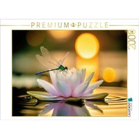 CALVENDO Puzzle Eine Libelle auf einer Seerose. 2000 Teile Lege-Größe 90 × 67 cm Foto-Puzzle für glückliche Stunden CALVENDO Puzzle Eine Libelle auf einer Seerose. 2000 Teile Lege-Größe 90 × 67 cm Foto-Puzzle für glückliche Stunden von Calvendo Puzzle