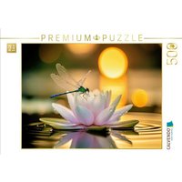 CALVENDO Puzzle Eine Libelle auf einer Seerose. 500 Teile Lege-Größe 48 × 36 cm Foto-Puzzle für glückliche Stunden CALVENDO Puzzle Eine Libelle auf einer Seerose. 500 Teile Lege-Größe 48 × 36 cm Foto-Puzzle für glückliche Stunden von Calvendo Puzzle