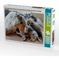 CALVENDO Puzzle Eine bildhübsche Hündin mit ihren bezaubernden Welpen der Rasse Australian Shepherd 2000 Teile Lege-Größe 90 × 67 cm Foto-Puzzle für glückliche Stunden von Calvendo Puzzle