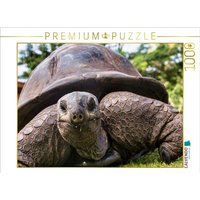 CALVENDO Puzzle Eine der über 300 Seychellen-Riesenschildkröten auf Curieuse 1000 Teile Lege-Größe 64x48cm Foto-Puzzle für glückliche Stunden von Calvendo Puzzle
