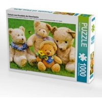 CALVENDO Puzzle Einfach zum Knuddeln die Bärenfamilie 1000 Teile Lege-Größe 64 x 48 cm Foto-Puzzle Bild von Karin Sigwarth von Calvendo Puzzle