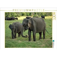 CALVENDO Puzzle Elefanten in Menneriya 1000 Teile Lege-Größe 64x48cm Foto-Puzzle für glückliche Stunden von Calvendo Puzzle