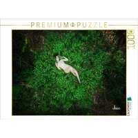 CALVENDO Puzzle Elysia 1000 Teile Lege-Größe 64x48cm Foto-Puzzle für glückliche Stunden CALVENDO Puzzle Elysia 1000 Teile Lege-Größe 64x48cm Foto-Puzzle für glückliche Stunden von Calvendo Puzzle