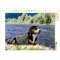CALVENDO Puzzle Entlebucher Rüde am Fluss 1000 Teile Lege-Größe 64x48cm Foto-Puzzle für glückliche Stunden von Calvendo Puzzle