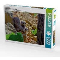 CALVENDO Puzzle Erdmännchens Kinderstube 1000 Teile Lege-Größe 64 x 48 cm Foto-Puzzle Bild von Ingo Laue von CALVENDO Verlag GmbH