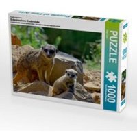 CALVENDO Puzzle Erdmännchens Kinderstube 1000 Teile Lege-Größe 64 x 48 cm Foto-Puzzle Bild von Ingo Laue von Calvendo Puzzle