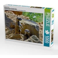 CALVENDO Puzzle Erdmännchens Kinderstube 1000 Teile Lege-Größe 64 x 48 cm Foto-Puzzle Bild von Ingo Laue von CALVENDO Verlag GmbH