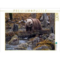 CALVENDO Puzzle Erste Nahrungssuche 1000 Teile Lege-Größe 64x48cm Foto-Puzzle für glückliche Stunden CALVENDO Puzzle Erste Nahrungssuche 1000 Teile Lege-Größe 64x48cm Foto-Puzzle für glückliche Stunden von Calvendo Puzzle