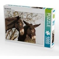 CALVENDO Puzzle Esel unter sich 1000 Teile Lege-Größe 64 x 48 cm Foto-Puzzle Bild von Meike Bölts von Calvendo Puzzle