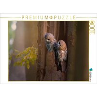 CALVENDO Puzzle Eulenliebe 1000 Teile Lege-Größe 64x48cm Foto-Puzzle für glückliche Stunden CALVENDO Puzzle Eulenliebe 1000 Teile Lege-Größe 64x48cm Foto-Puzzle für glückliche Stunden von Calvendo Puzzle