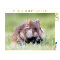 CALVENDO Puzzle Feldhamster 1000 Teile Lege-Größe 64x48cm Foto-Puzzle für glückliche Stunden von Calvendo Puzzle