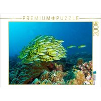 CALVENDO Puzzle Fischschwärme sind immer imposant! 2000 Teile Lege-Größe 90 × 67 cm Foto-Puzzle für glückliche Stunden CALVENDO Puzzle Fischschwärme sind immer imposant! 2000 Teile Lege-Größe 90 × 67 cm Foto-Puzzle für glückliche Stunden von Calvendo Puzzle