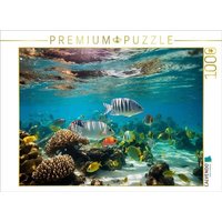 CALVENDO Puzzle Fischschwarm in den Tropen mit Korallen 1000 Teile Lege-Größe 64x48cm Foto-Puzzle für glückliche Stunden CALVENDO Puzzle Fischschwarm in den Tropen mit Korallen 1000 Teile Lege-Größe 64x48cm Foto-Puzzle für glückliche Stunden von Calvendo Puzzle