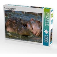 CALVENDO Puzzle Flusspferde - Revierkampf 1000 Teile Lege-Größe 64 x 48 cm Foto-Puzzle Bild von Michael Herzog CALVENDO Puzzle Flusspferde - Revierkampf 1000 Teile Lege-Größe 64 x 48 cm Foto-Puzzle Bild von Michael Herzog von Calvendo Puzzle
