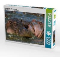 CALVENDO Puzzle Flusspferde - Revierkampf 1000 Teile Lege-Größe 64 x 48 cm Foto-Puzzle Bild von Michael Herzog von xxx