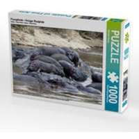 CALVENDO Puzzle Flusspferde - felsiger Rastplatz 1000 Teile Lege-Größe 64 x 48 cm Foto-Puzzle Bild von Michael Herzog von xxx