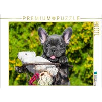CALVENDO Puzzle Französische Bulldogge - kleiner Clown auf 4 Pfoten 1000 Teile Lege-Größe 64x48cm Foto-Puzzle für glückliche Stunden CALVENDO Puzzle Französische Bulldogge - kleiner Clown auf 4 Pfoten 1000 Teile Lege-Größe 64x48cm Foto-Puzzle für glückliche Stunden von CALVENDO Verlag GmbH