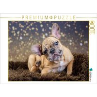 CALVENDO Puzzle French-Bullterrier 1000 Teile Lege-Größe 64x48cm Foto-Puzzle für glückliche Stunden CALVENDO Puzzle French-Bullterrier 1000 Teile Lege-Größe 64x48cm Foto-Puzzle für glückliche Stunden von CALVENDO Verlag GmbH