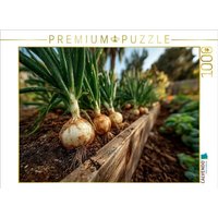 CALVENDO Puzzle Frische Zwiebeln wachsen im Gartenbeet 1000 Teile Lege-Größe 64x48cm Foto-Puzzle für glückliche Stunden von Calvendo Puzzle